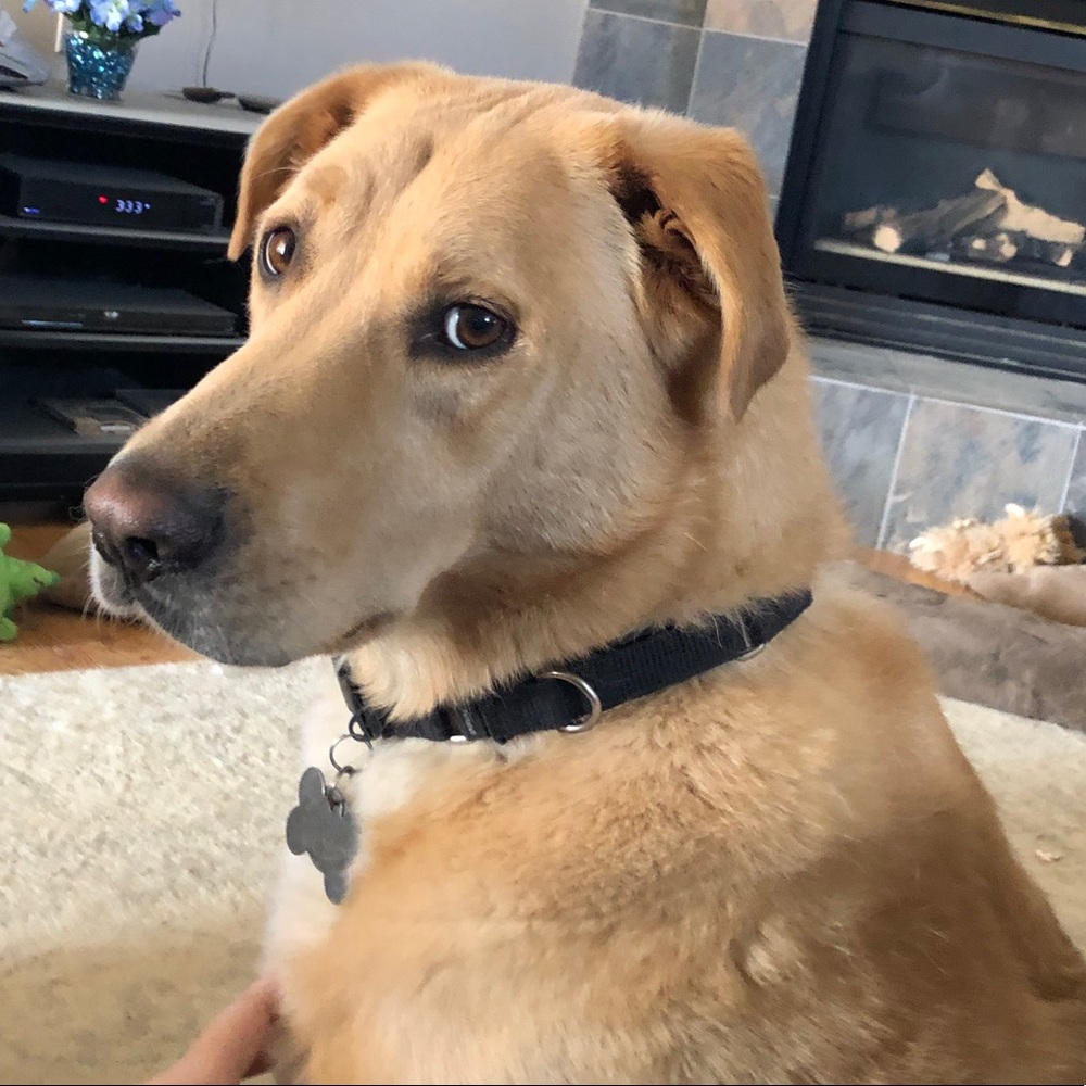 Meet your Posher, Miranda